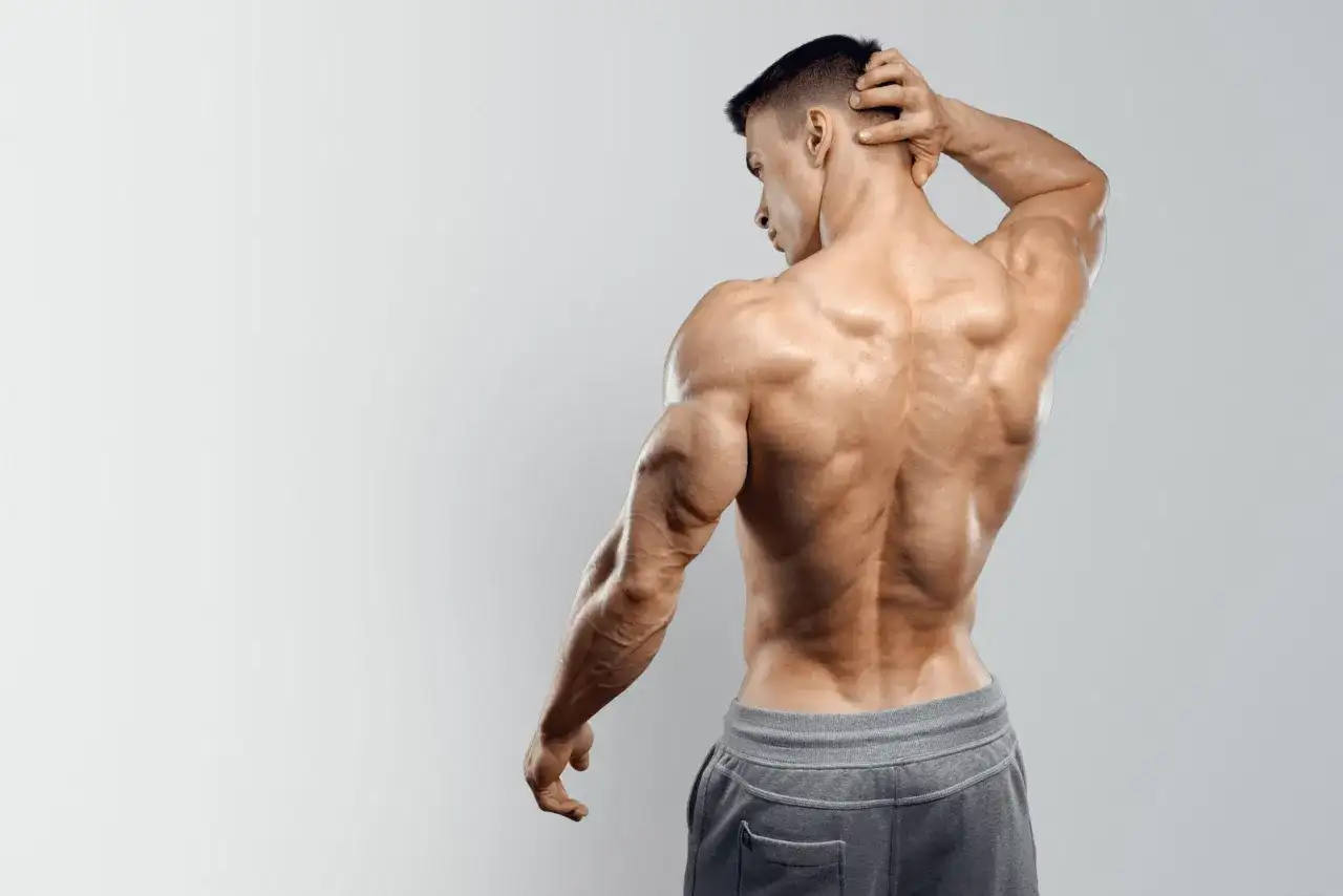Definizione Muscolare - Come Ottenerla Senza Perdere Massa